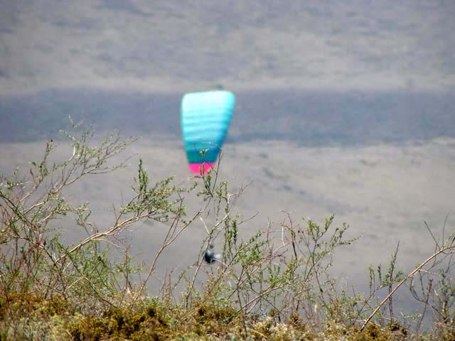 P1030098_s